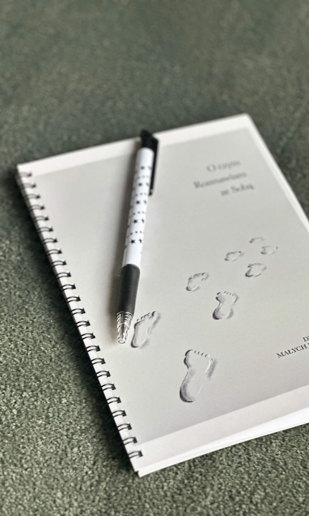 Tagebuch der Gespräche mit mir selbst